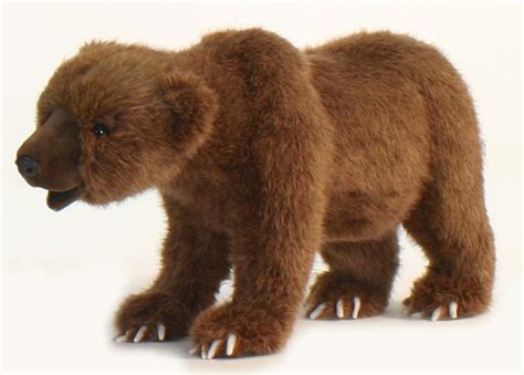 grizzly bear soft toy